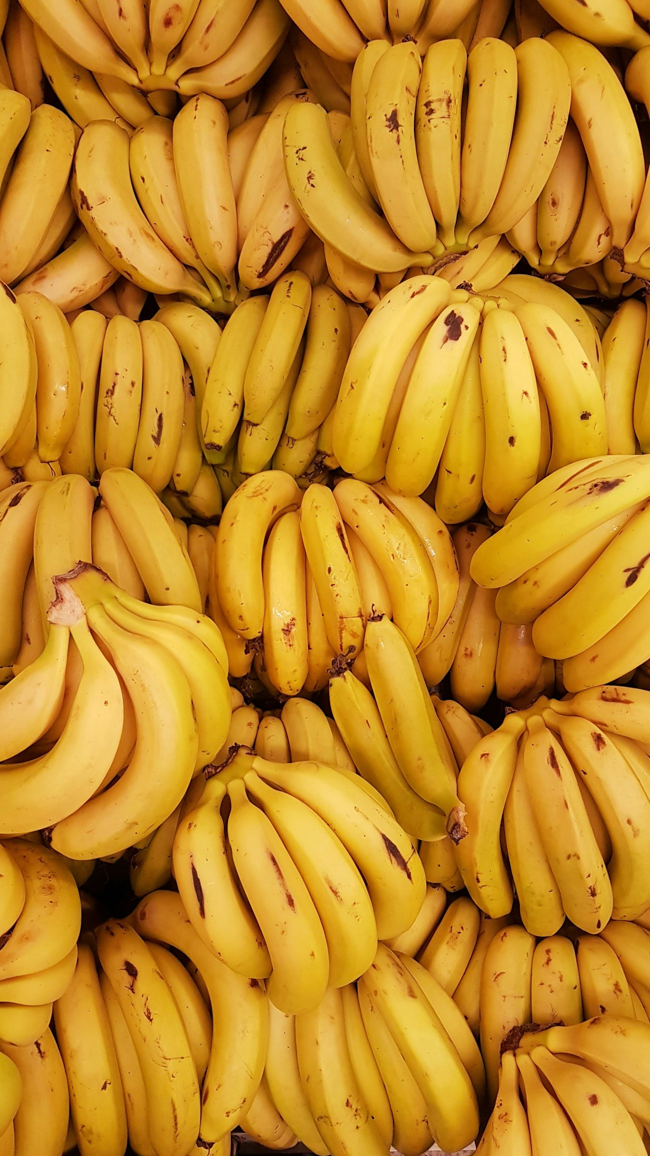 Fresh bananas for the Algerian market
