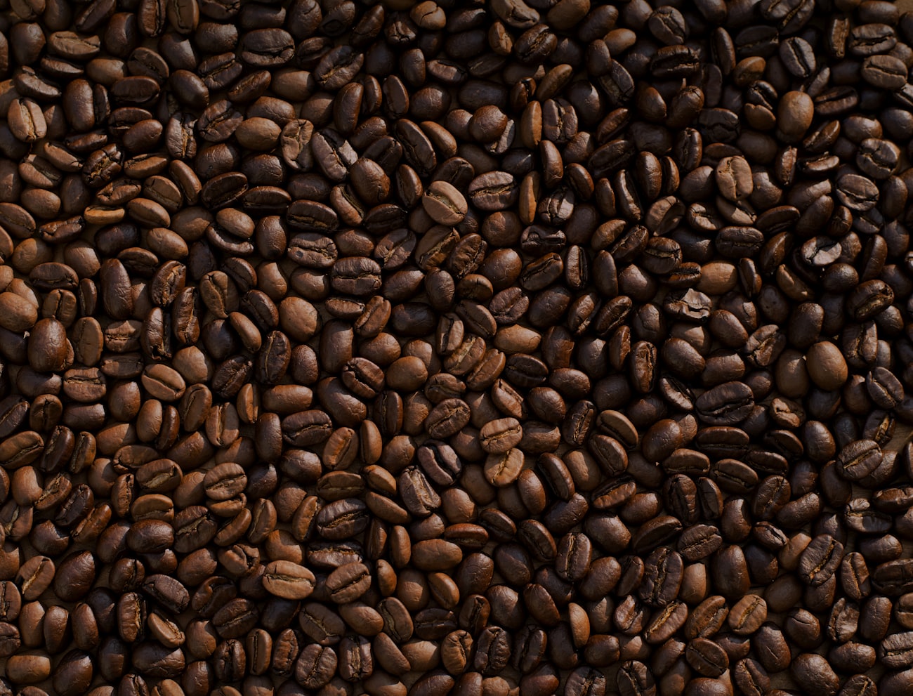 Specialty coffee beans
