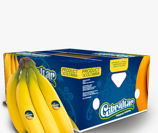 Gibraltar Premium Banana brand carton